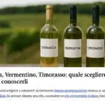 Vernaccia, Vermentino, Timorasso: quale scegliere per iniziare a conoscerli